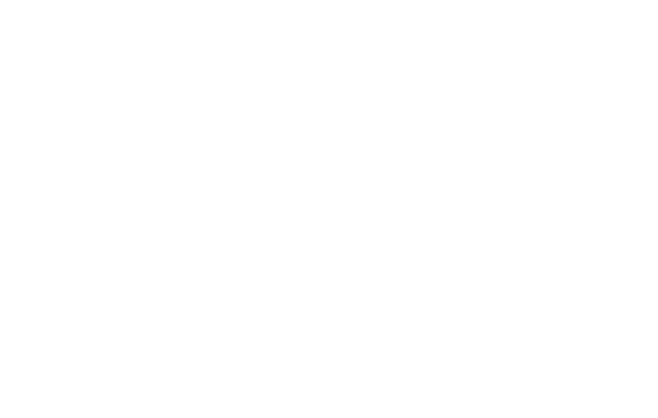 The Decor Avenue